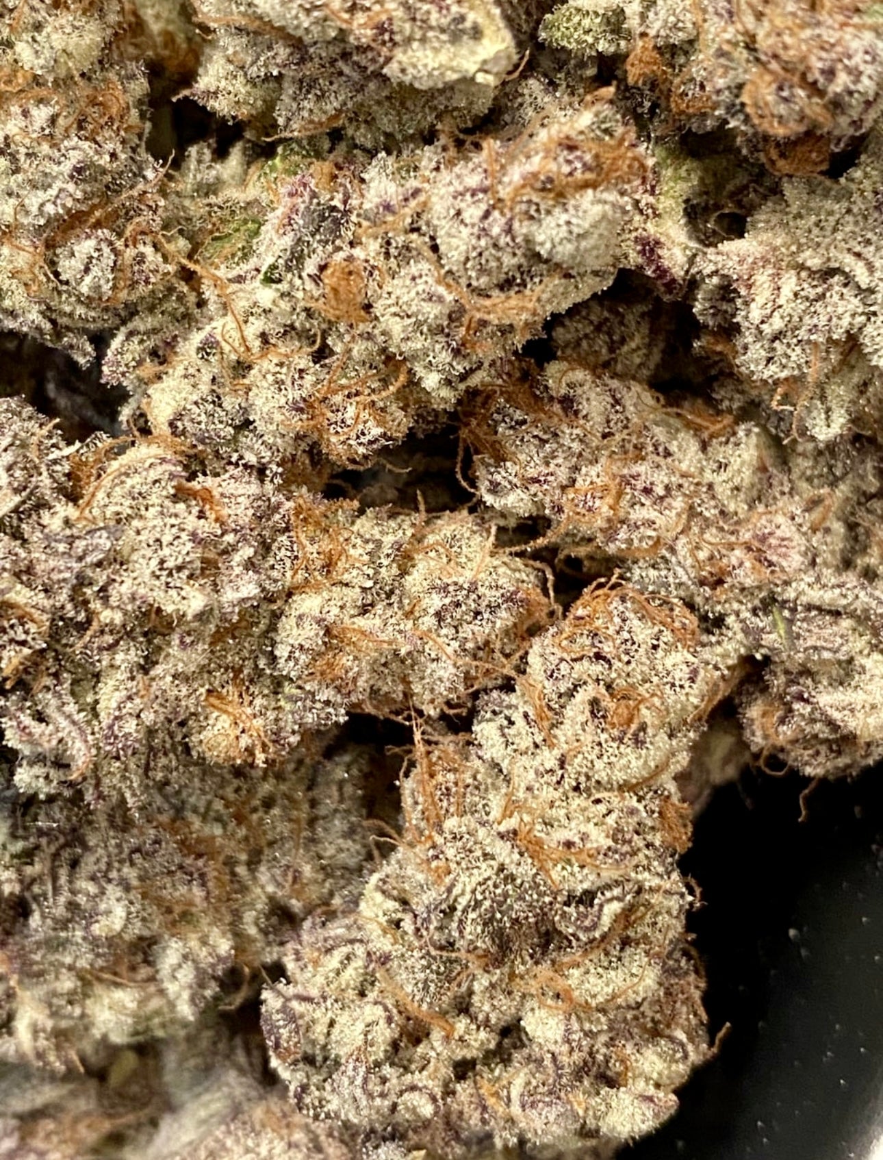 Chimera #2 (Beleaf)