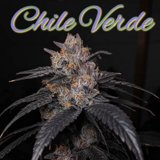 Chile Verde (Teen)