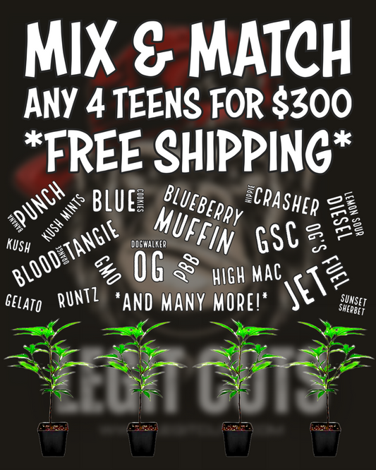 ANY 4 Classic Clones! Mix & Match ANY 4! Free Express Shipping!