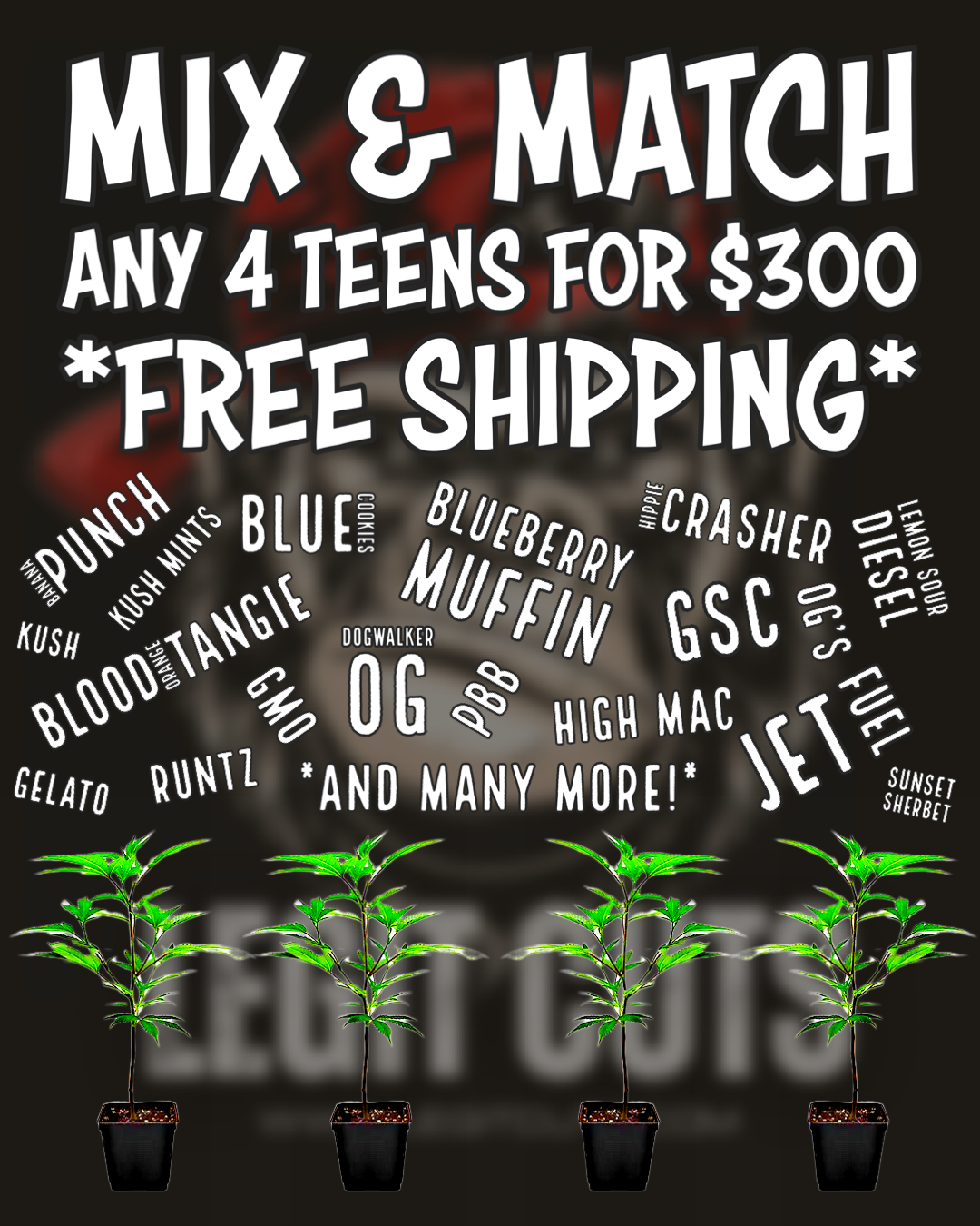 ANY 4 Teens! Mix & Match! Free Shipping!